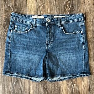 Anthropologie Pilcro & the Letterpress Slim Boyfriend Denim Jean Shorts, Size 32